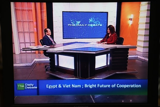 Nile TV strahlt Live-Sendung über Vietnam-Ägypten-Beziehungen aus - ảnh 1
