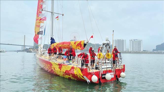 Das erste von elf Segelbooten des Rennens um die Welt trifft in Halong-Bucht ein - ảnh 1