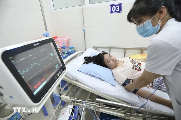 Zahlreiche Chancen für vietnamesische Krankenpflege in Deutschland - ảnh 1