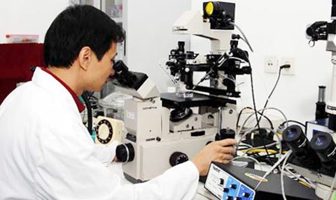 Vietnam dan Indonesia bertukar tentang pengalaman mengembangkan sains teknologi - ảnh 1
