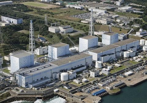 Perusahaan perlistrikan Jepang usul menggerakkan kembali aktivitas 10 reaktor nuklir - ảnh 1