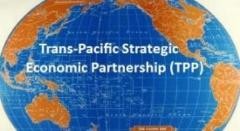 Jepang resmi berpartisipasi pada perundingan TPP - ảnh 1