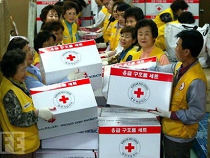 Lembaga-lembaga swadaya masyarakat Republik Korea menyerahkan bantuan kemanusiaan kepada RDR Korea - ảnh 1