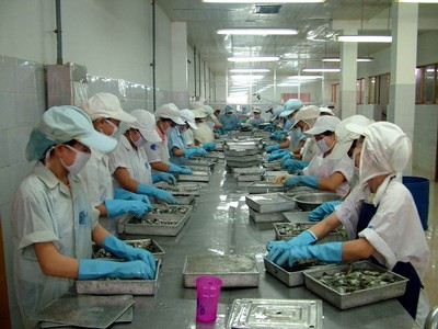 Nilai ekspor perikanan Vietnam  pada tahun 2013 bisa melampaui taraf USD 6,5 miliar - ảnh 1
