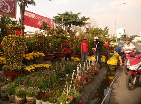 Pasar Bunga Hari Raya Tet di kota Ho Chi Minh dibuka - ảnh 1