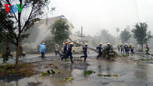 Vietnam berbagi pengalaman dalam menghadapi bencana alam - ảnh 1