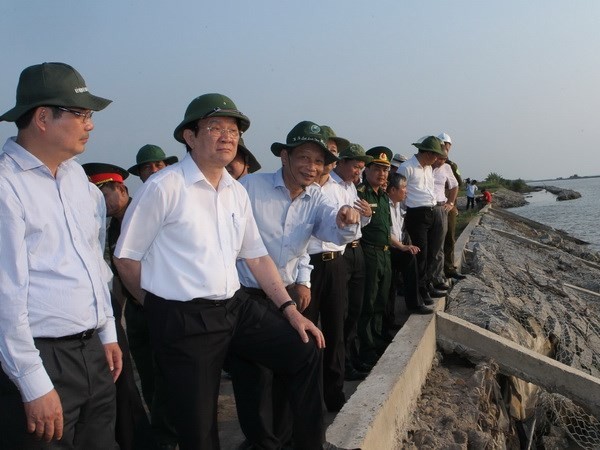 Presiden Vietnam, Truong Tan Sang memeriksa tanggul laut di daerah dataran rendah sungai Mekong - ảnh 1