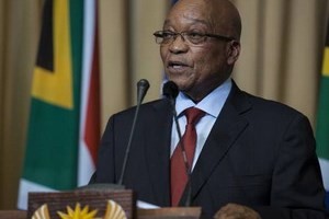 Afrika Selatan mengadakan secara khidmat acara peringatan ultah ke-20 Hari Nasional - ảnh 1