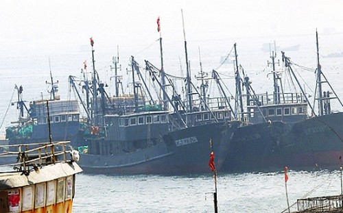 Kapal ikan Tiongkok meningkatkan penangkapan ikan secara tidak sah di wilayah laut Republik Korea - ảnh 1