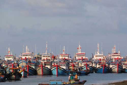 Menciptakan syarat modal bagi kaum nelayan untuk memodernisasi kapal ikan - ảnh 1