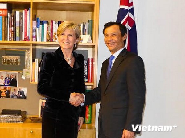 Australia memperhatikan proses perkembangan, tantangan dan kesempatan Vietnam - ảnh 1
