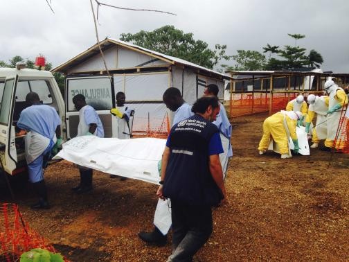 WHO membenarkan ada kira-kira 930 orang yang meninggal akibat wabah Ebola - ảnh 1