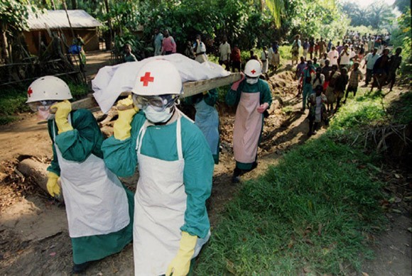 Jumlah orang yang meninggal akibat virus Ebola melampaui 1.200 orang - ảnh 1