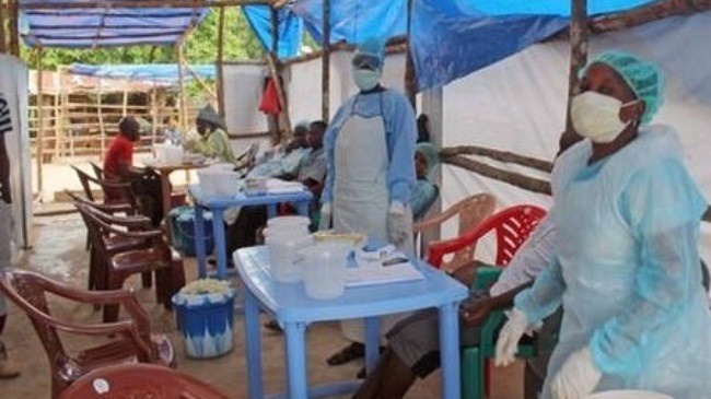Uni Eropa mengimbau kepada negara-negara anggotanya supaya memperkuat usaha menghadapi wabah Ebola - ảnh 1