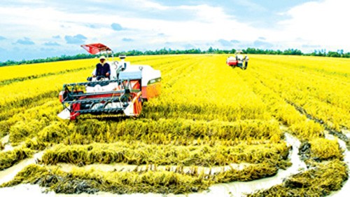 Republik Korea berbagi teknologi dalam produksi pertanian dengan Vietnam - ảnh 1