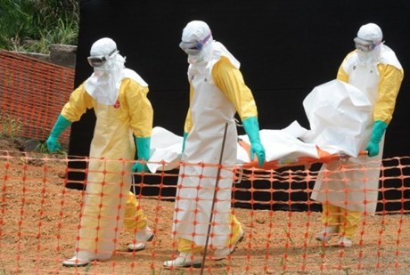 PBB mengadakan pertemuan puncak tentang wabah Ebola - ảnh 1