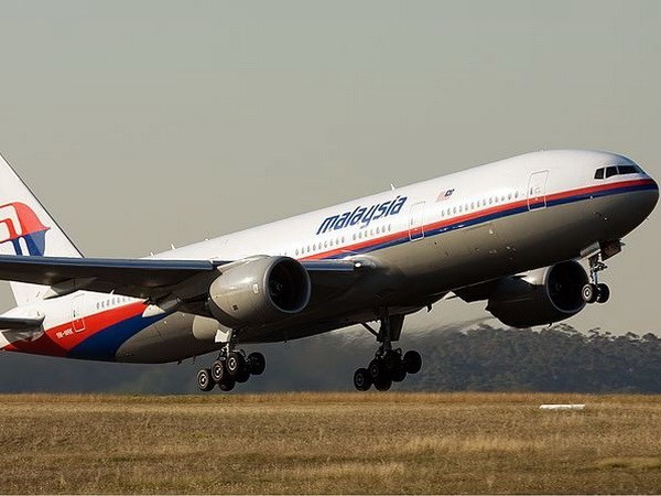 Belanda menegaskan kembali seharusnya melakukan investigasi independen kasus kecelakaan pesawat terbang MH17 - ảnh 1