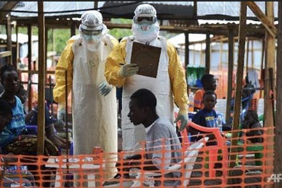Kementerian Kesehatan Vietnam memeriksa proses pencegahan wabah Ebola - ảnh 1