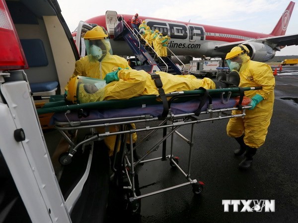 Uni Eropa menekankan perlunya memperkuat upaya keras untuk mencegah Ebola - ảnh 1