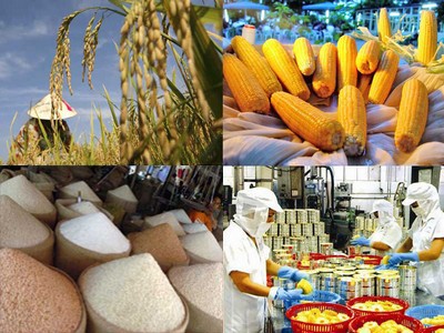 Produk pertanian Vietnam punya banyak kesempatan untuk memasuki pasar Singapura - ảnh 1
