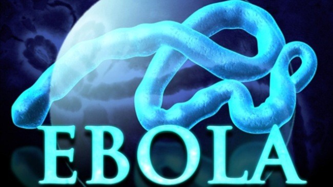 PBB menilai bahwa bisa memadamkan wabah Ebola - ảnh 1