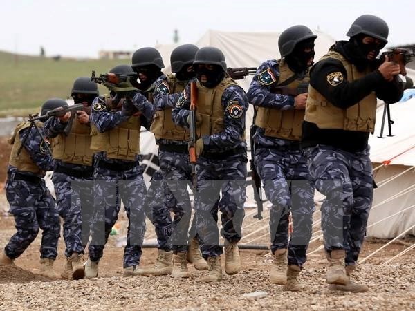 Irak memukul mundur satu serangan IS - ảnh 1