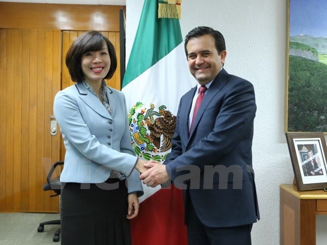 Meksiko akan cepat mendorong pembentukan Komite gabungan tentang perdagangan dan industri antara Vietnam dan Meksiko - ảnh 1