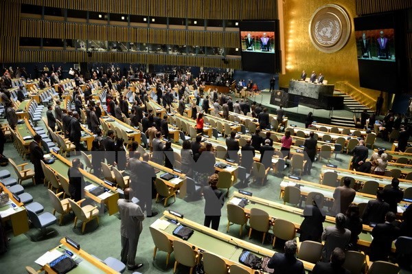 Majelis Umum PBB membahas situasi kriminalitas di dunia - ảnh 1