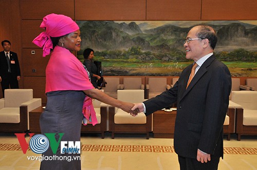 Ketua MN Vietnam, Nguyen Sinh Hung menerima Ketua Majelis Rendah Afrika Selatan - ảnh 1