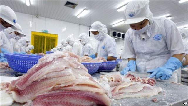 Simposium tentang ekspor ikan tak bersisik yang berkesinambungan dari Vietnam ke Uni Eropa - ảnh 1