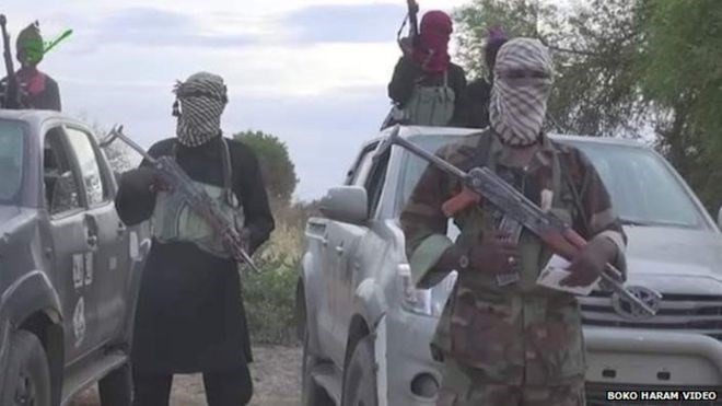 Boko Haram membunuh 30 warga sipil di Niger - ảnh 1