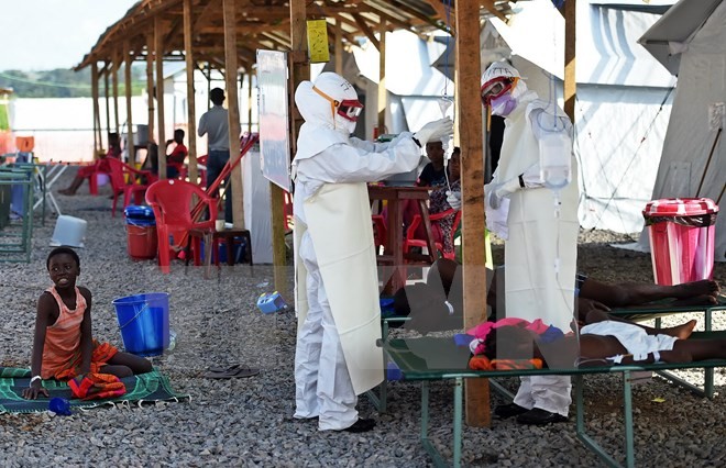Afrika berbagi pengalaman dalam mencegah dan memberantas wabah Ebola - ảnh 1