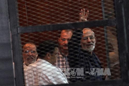 Mesir terus mengadili pemimpin MB, Mohammad Badie - ảnh 1