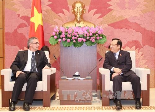 Vietnam dan Argentina memperluas hubungan kerjasama - ảnh 1