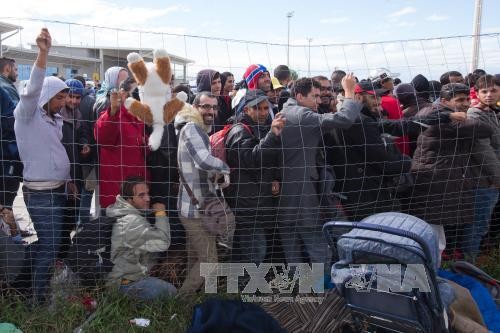 Israel membangun pagar perbatasan untuk mencegah para migran - ảnh 1