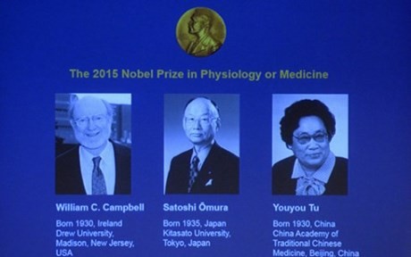 Hadiah Nobel Kedokteran - tahun 2015 diberikan kepada tiga ilmuwan Irlandia, Jepang dan Tiongkok - ảnh 1