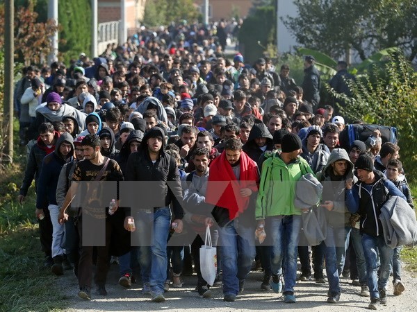 Negara-negara Balkan menyangsikan rencana Uni Eropa dalam memecahkan masalah migran  - ảnh 1