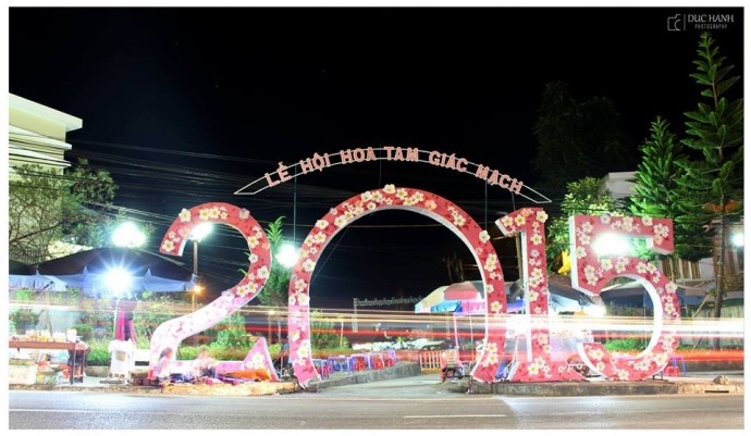 Festival pertama Bunga Gandum Kuda di Daerah dataran tinggi batu Dong Van, provinsi Ha Giang tahun 2015 - ảnh 1
