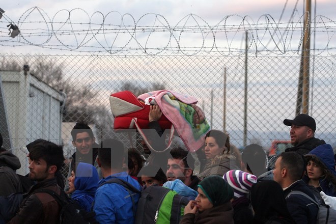 Eropa mencemaskan Mesir menjadi pintu gerbang baru bagi kaum migran - ảnh 1