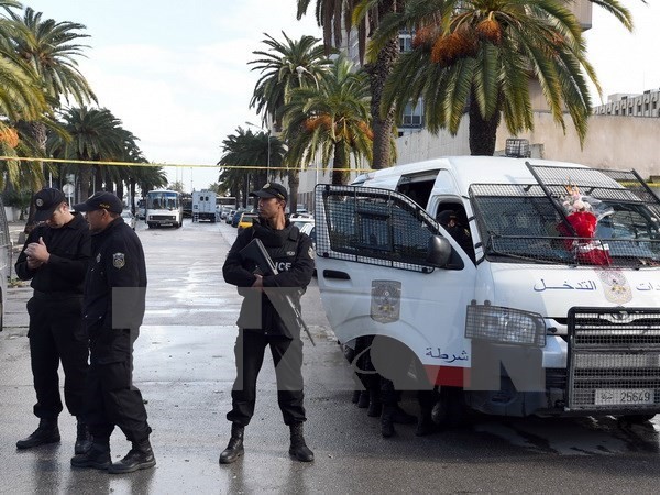 Tunisia membasmi satu jaringan suplai logistik untuk IS - ảnh 1