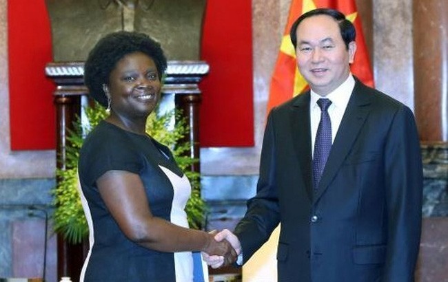 Presiden Vietnam, Tran Dai Quang menerima Wakil Presiden WB urusan kawasan Asia Timur-Pasifik, Ibu Victoria KwaKwa - ảnh 1