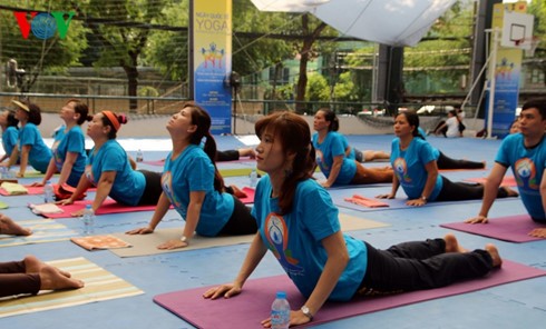 Kota Da Nang dan kota Ho Chi Minh menyambut Hari Internasional Yoga - ảnh 1