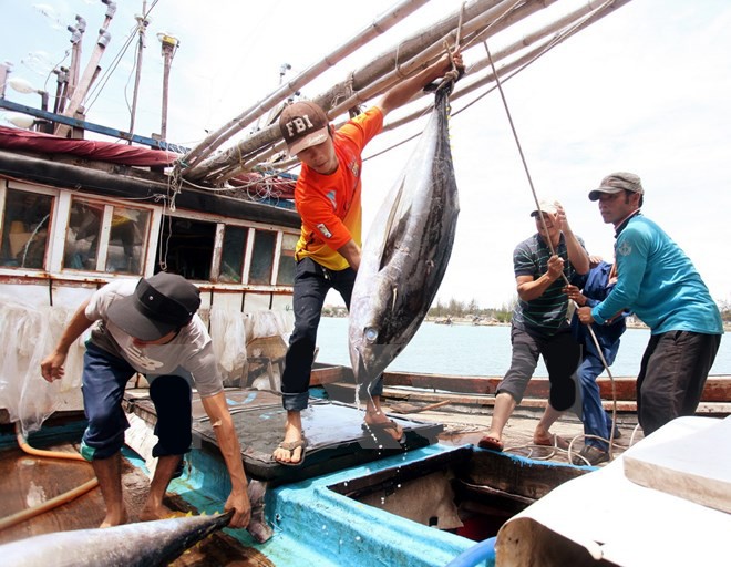 Vietnam menghadiri KTT Perikanan Asia Tenggara dan Pasifik - ảnh 1