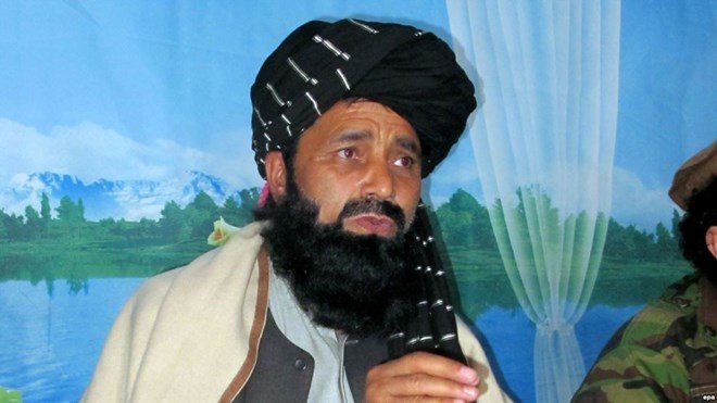 Pemimpin senior Taliban dibasmi di Afghanistan - ảnh 1