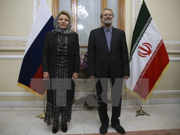 Iran dan Rusia memperkuat kerjasama memecahkan masalah-masalah Timur Tengah - ảnh 1