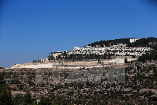 Israel melakukan kembali rencana membangun 500 rumah di kawasan pemukiman penduduk Jerusalem - ảnh 1
