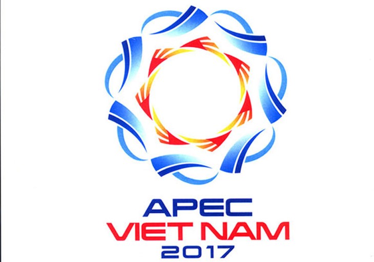 Memperkenalkan aktivitas-aktivitas pertama dalam rantai peristiwa Tahun APEC Vietnam 2017 - ảnh 1