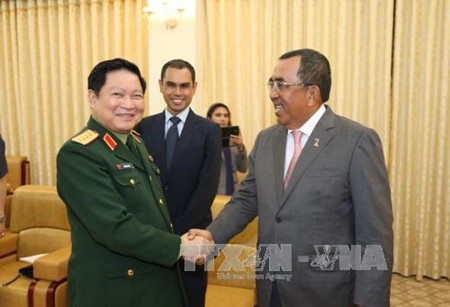 Deputi PM Pertahanan Malaysia mengunjungi Vietnam - ảnh 1