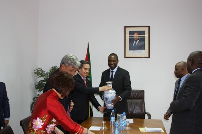 Kepala Departemen Ekonomi KS PKV, Nguyen Van Binh melakukan kunjungan kerja di Mozambik - ảnh 1