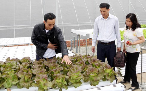 Jepang membantu provinsi Lam Dong menjadi pusat pertanian yang punya nilai tinggi di kawasan Asia Tenggara - ảnh 1